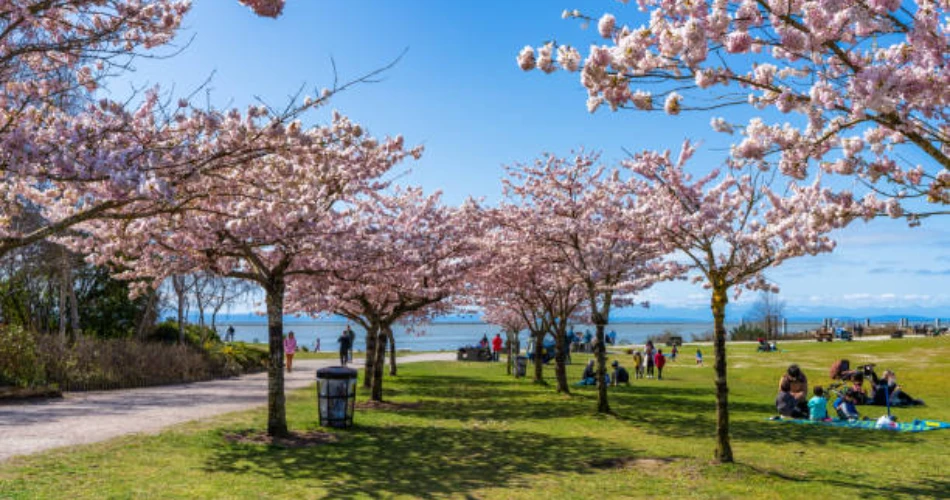 Things to Do in Richmond, Canada: Top Attractions and Activities for Visitors