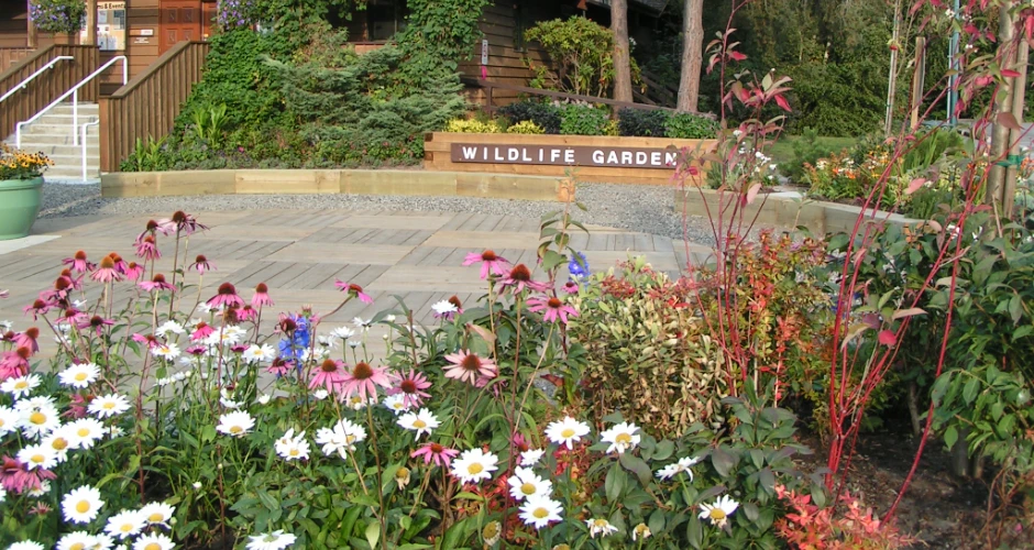 Things to Do in Richmond, Canada: Top Attractions and Activities for Visitors