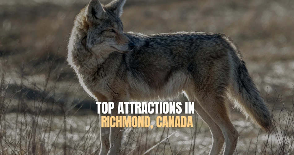 Top Attractions in Richmond, Canada You Don’t Want to Miss