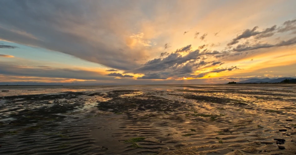 What to Do in Richmond, Canada for a Perfect Beach Day