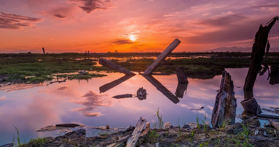 What to Do in Richmond, Canada for a Perfect Beach Day